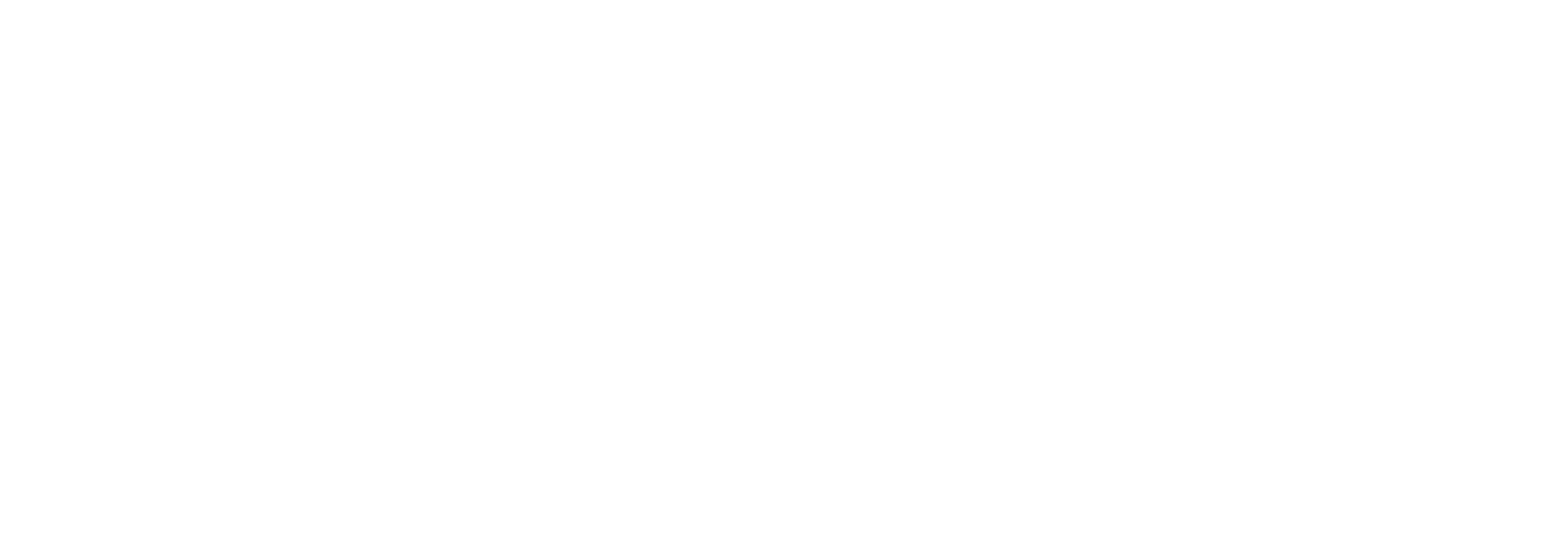 Logo de Zonova